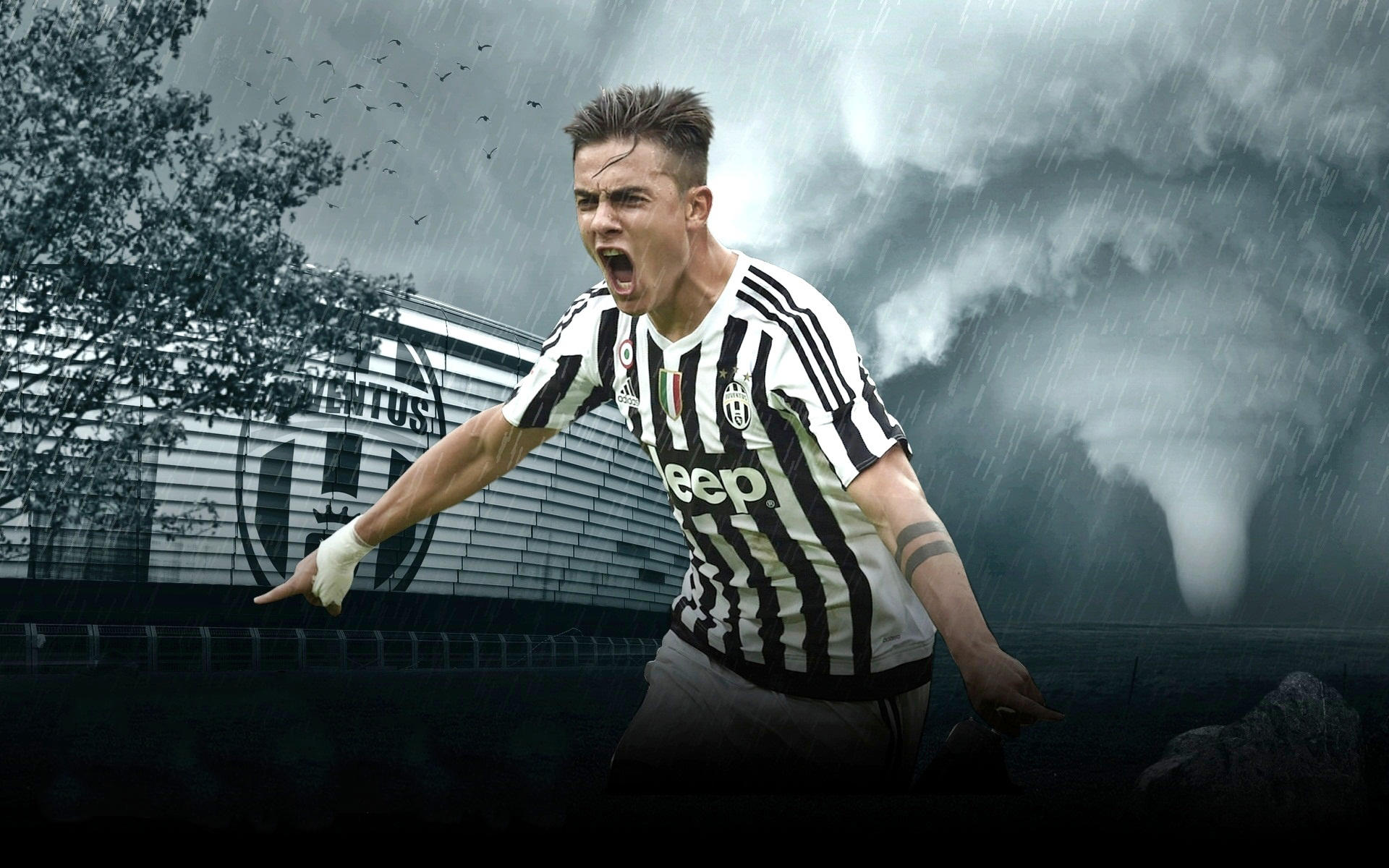 惨败青岛采访！许利民强调阵容不齐整，曾凡博仍未做出决定！