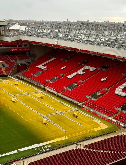 广州小学生观战轮椅篮球赛为运动员加油